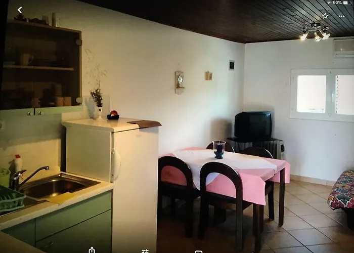 Lili * Трибунь